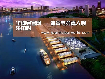 案例展示八