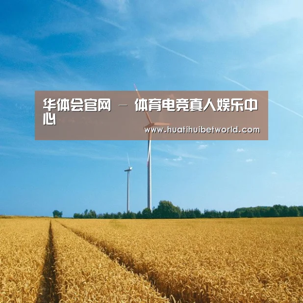 风能