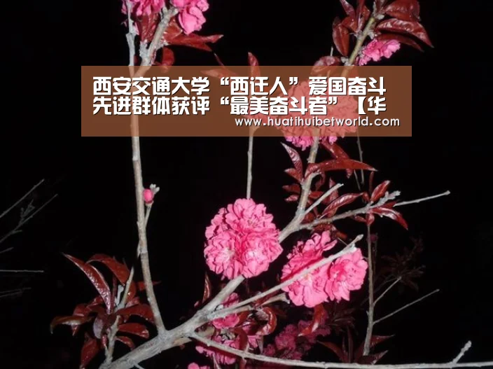 华体会登录
