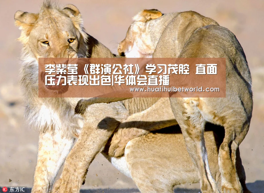 华体会体育