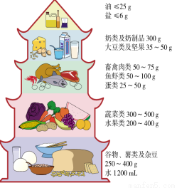 华体会登录