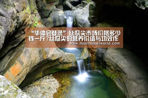 华体会娱乐