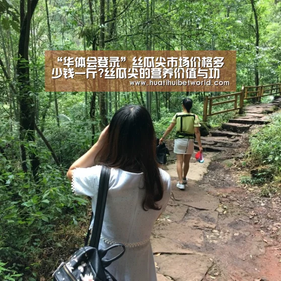 华体会体育