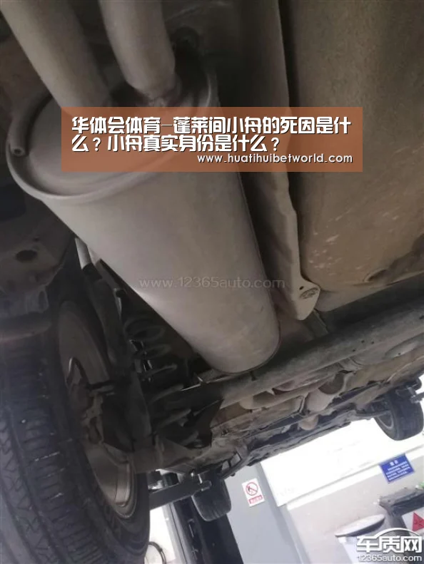 华体会体育-蓬莱间小舟的死因是什么?小舟真实身份是什么?(图2) 华体会娱乐