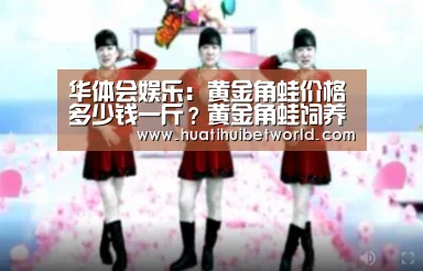 华体会体育