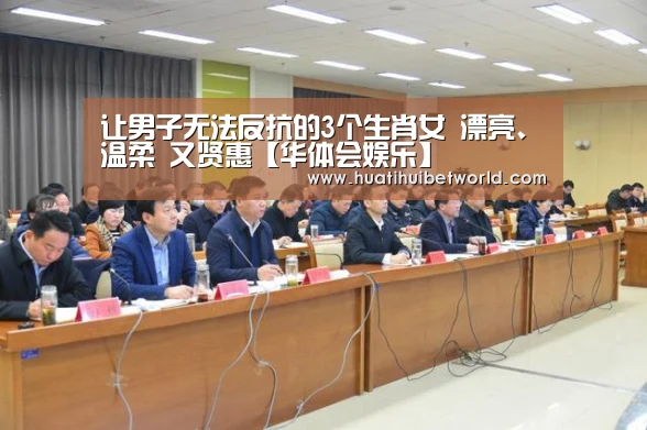 华体会登录