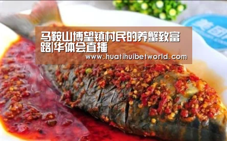 马鞍山博望镇村民的养蟹致富路|华体会直播(图1) 华体会直播