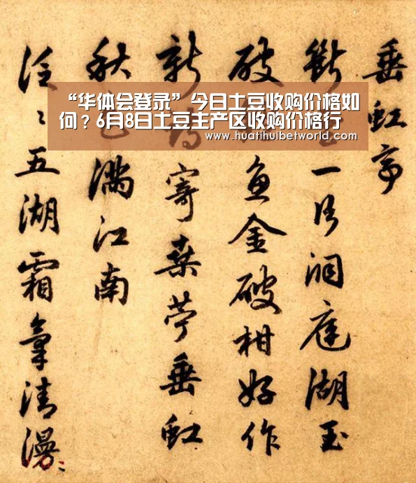 “华体会登录”今日土豆收购价格如何?6月8日土豆主产区收购价格行情(图1) 华体会体育