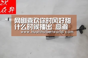 网剧喜欢你时风好甜什么时候播出 高瀚宇陈芋米首度牵手|华体会体育(图2) 华体会直播