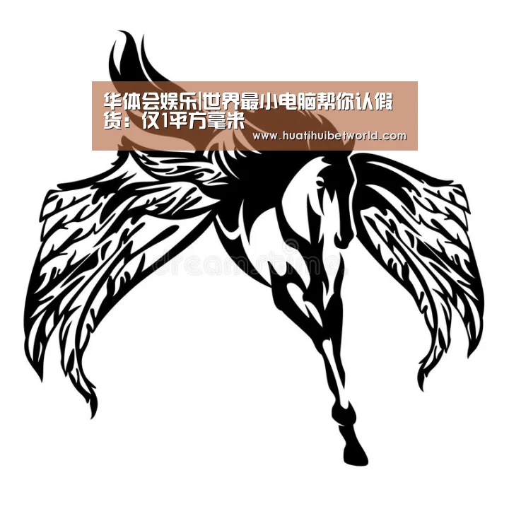 华体会娱乐|世界最小电脑帮你认假货:仅1平方毫米(图2) 华体会体育