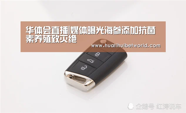 华体会直播|媒体曝光海参添加抗菌素养殖致灭绝(图1) 华体会体育