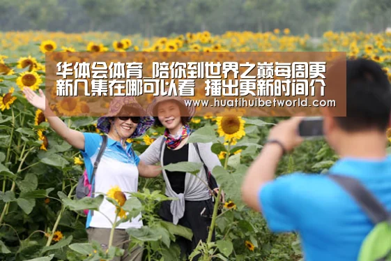 华体会直播