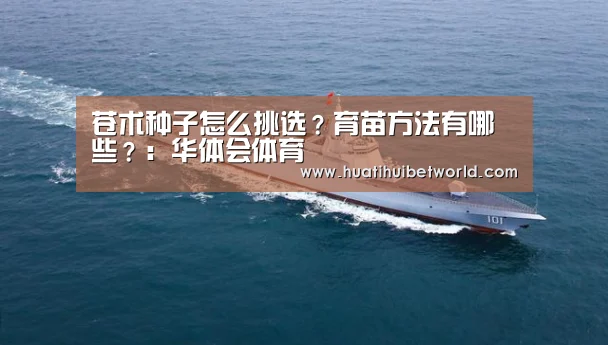 苍术种子怎么挑选?育苗方法有哪些?:华体会体育(图1) 华体会直播