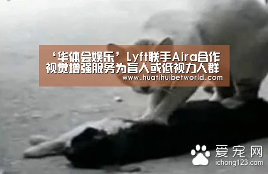 ‘华体会娱乐’Lyft联手Aira合作视觉增强服务为盲人或低视力人群提供便利出行(图2) 华体会直播