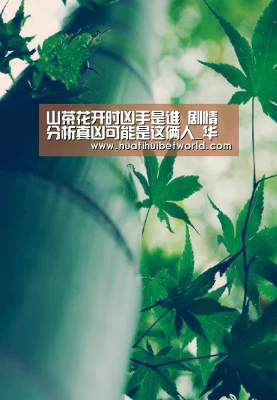 华体会直播