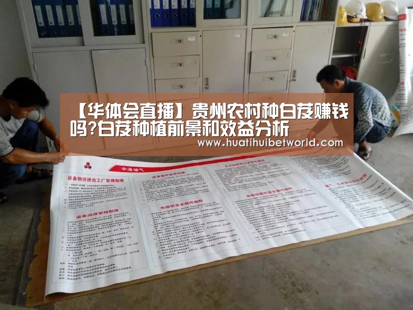 华体会娱乐