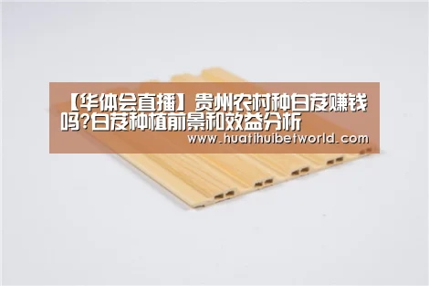 华体会娱乐