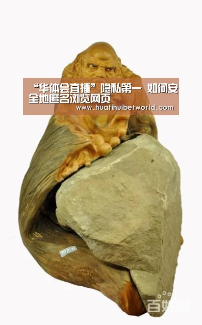“华体会直播”隐私第一 如何安全地匿名浏览网页(图2) 华体会直播