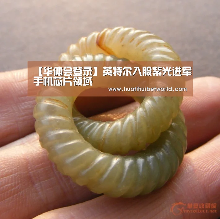 【华体会登录】英特尔入股紫光进军手机芯片领域(图1) 华体会登录