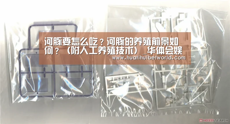 河豚要怎么吃?河豚的养殖前景如何?(附人工养殖技术)_华体会娱乐(图3) 华体会体育