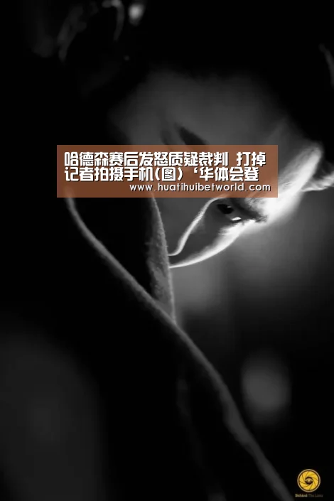 哈德森赛后发怒质疑裁判 打掉记者拍摄手机(图)‘华体会登录’(图2) 华体会登录