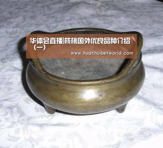 华体会直播|核桃国外优良品种介绍(一)(图3) 华体会娱乐