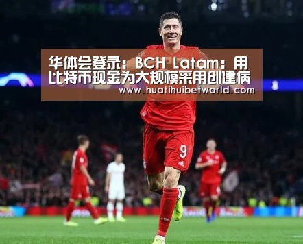 华体会登录:BCH Latam:用比特币现金为大规模采用创建病毒式反馈循环(图3) 华体会直播