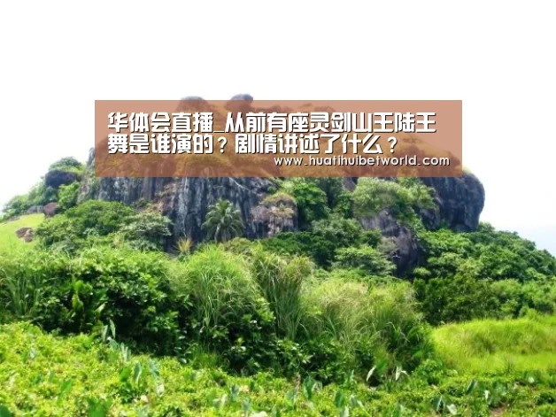 华体会娱乐